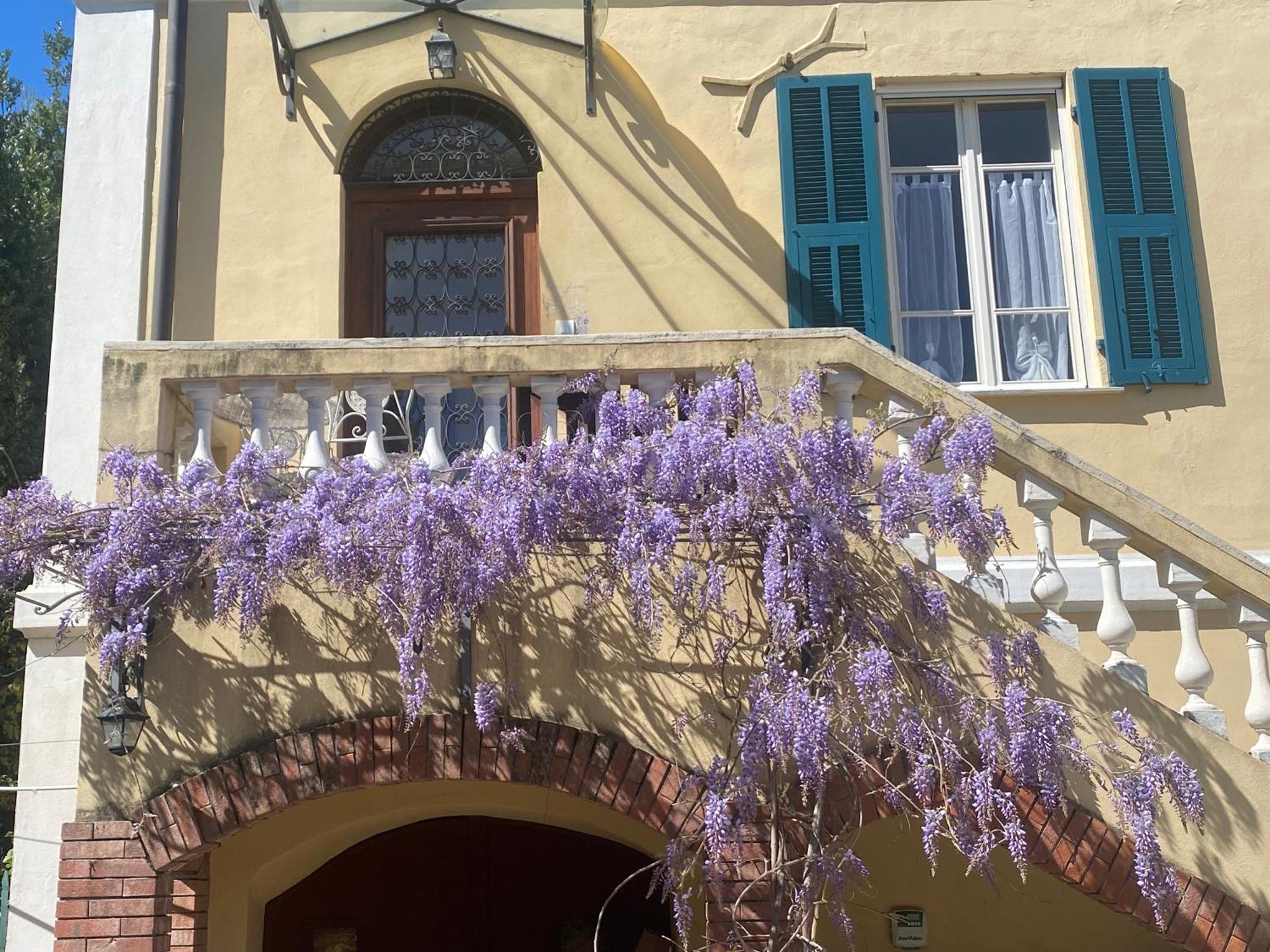Villa Angelina - Casa Glicine Vallecrosia Bagian luar foto