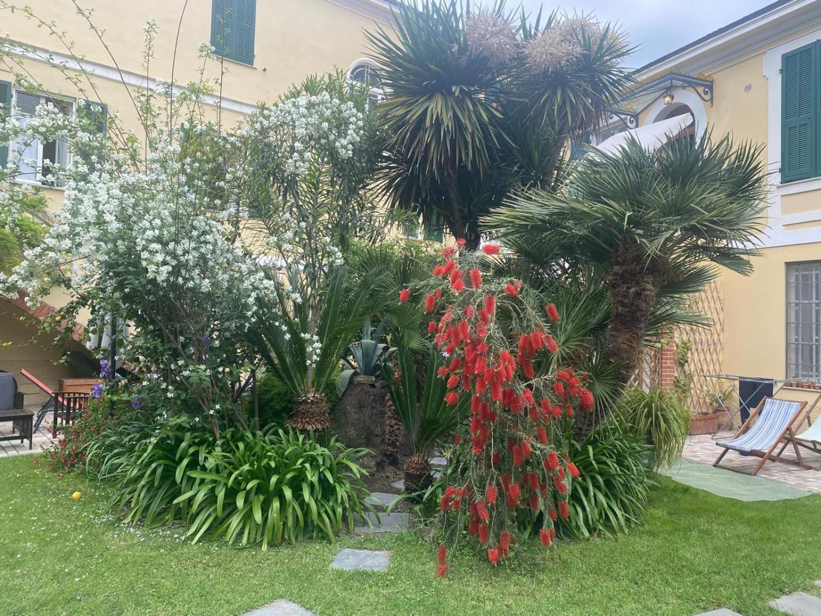 Villa Angelina - Casa Glicine Vallecrosia Bagian luar foto